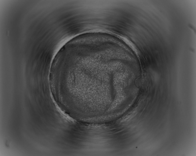 X0000092300951200710051218