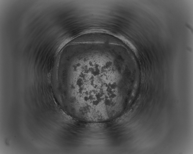 X0000092300953200710051218