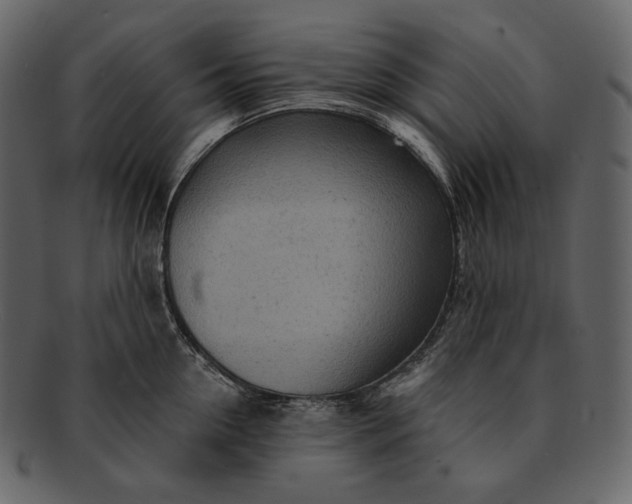 X0000092300954200710051218