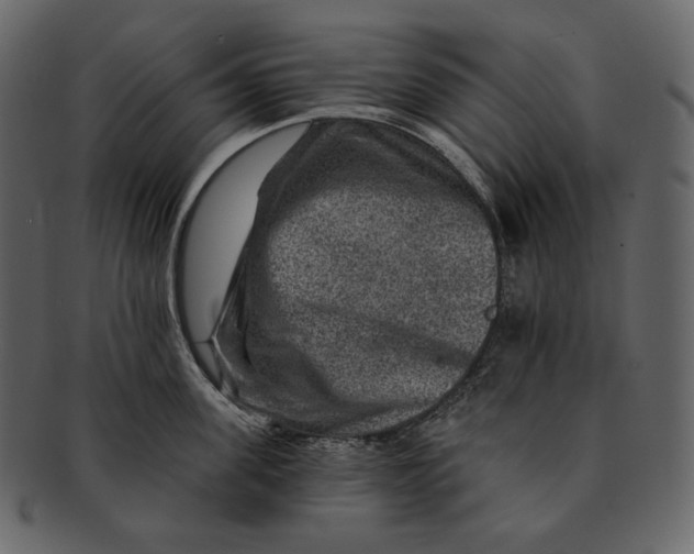 X0000092300955200710051218