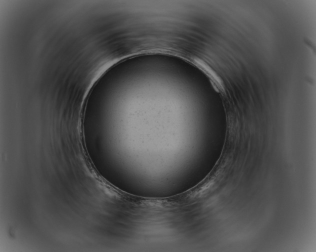 X0000092300956200710051218