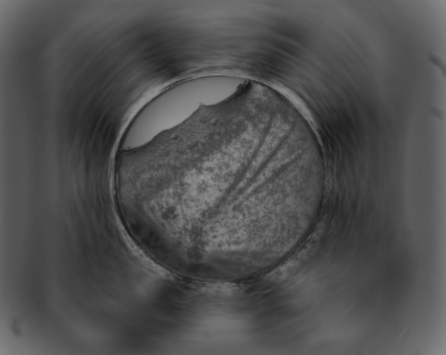 X0000092300957200710051218