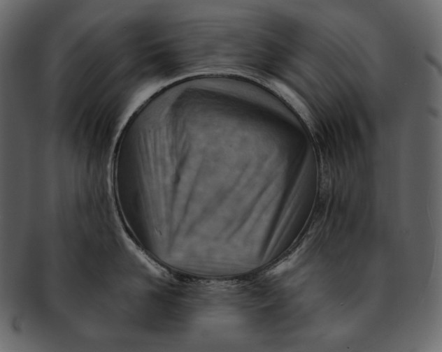 X0000092300958200710051218