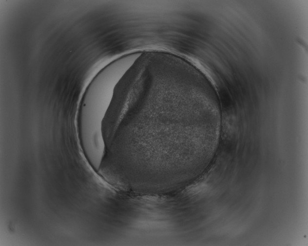 X0000092300959200710051218