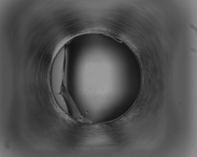 X0000092300960200710051218