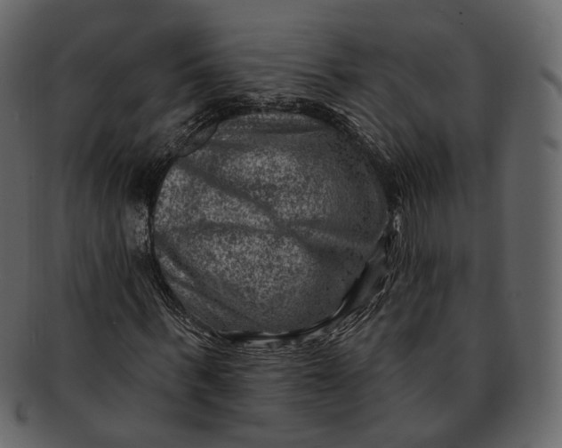 X0000092300963200710051217