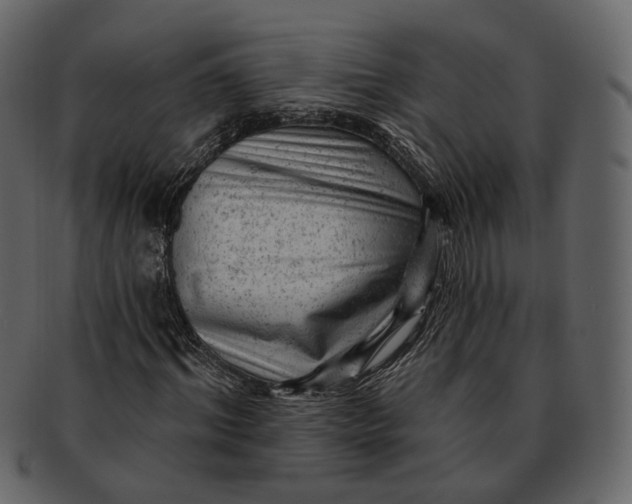 X0000092300964200710051217