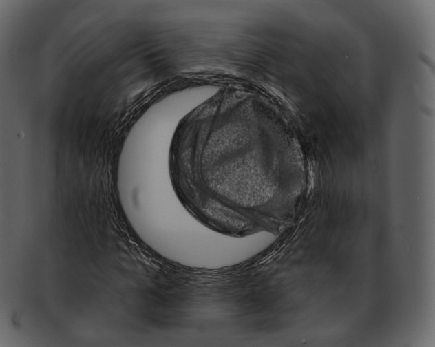 X0000092300965200710051217