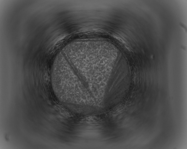 X0000092300966200710051217