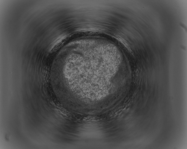 X0000092300967200710051217