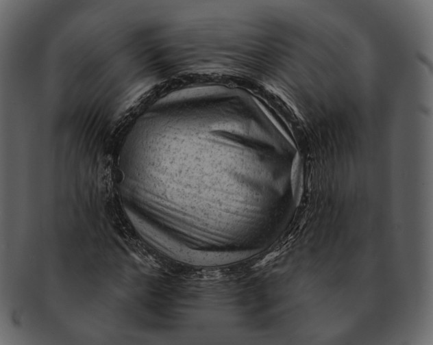 X0000092300968200710051217