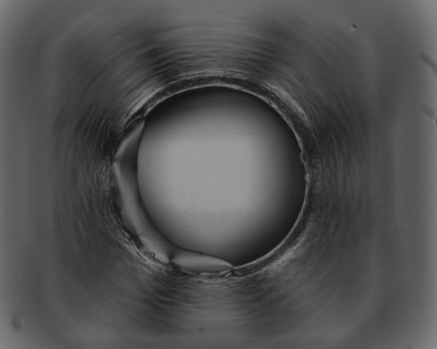 X0000092300969200710051217