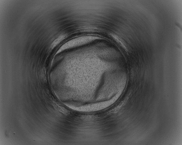 X0000092300970200710051217