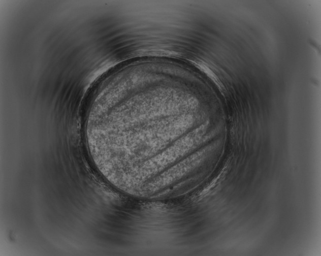 X0000092300971200710051217