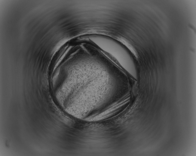 X0000092300972200710051217