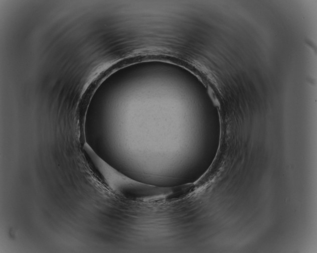 X0000092300973200710051217