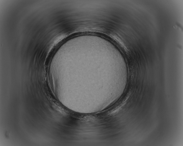 X0000092300974200710051217