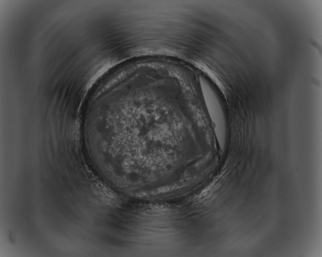 X0000092300975200710051217