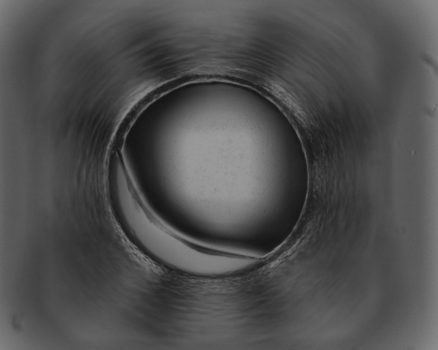 X0000092300976200710051217