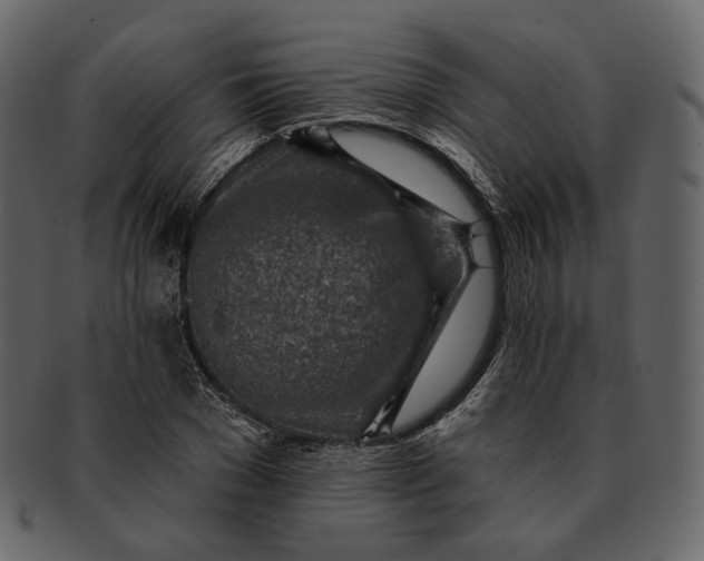 X0000092300977200710051217