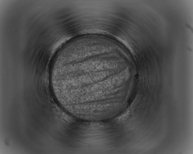 X0000092300979200710051217