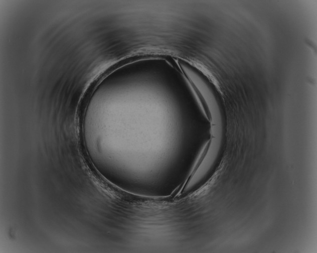 X0000092300981200710051217