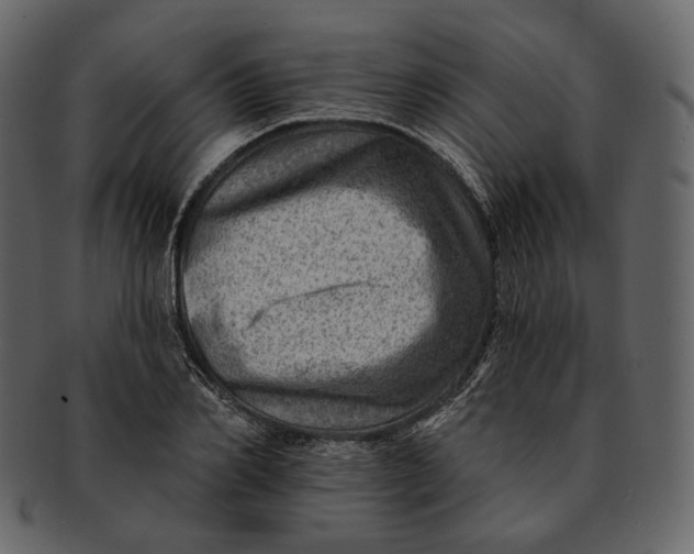 X0000092300982200710051217