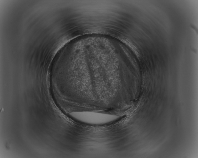 X0000092300983200710051217