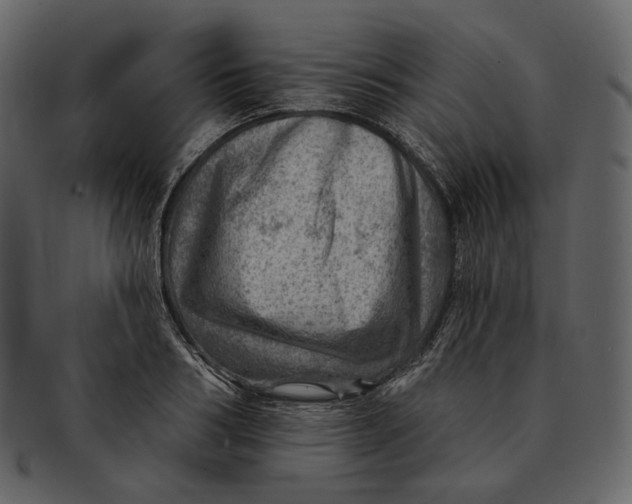 X0000092300986200710051217