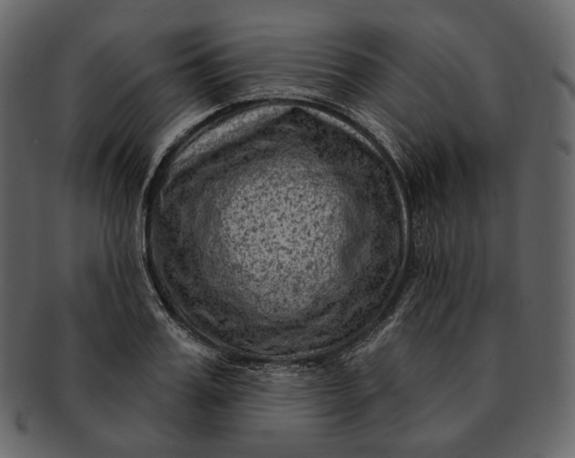 X0000092300987200710051217