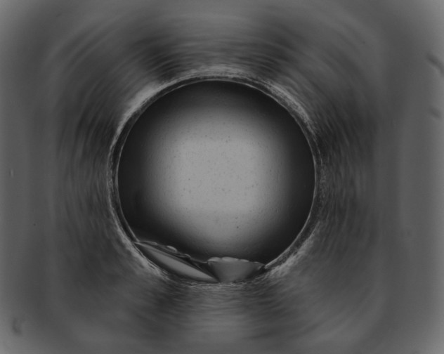 X0000092300989200710051217