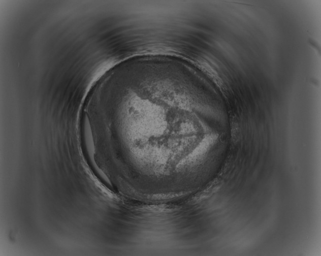 X0000092300990200710051217