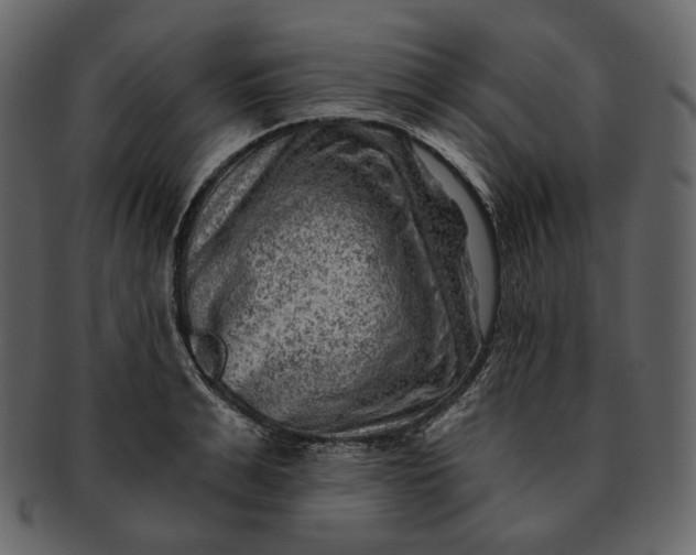 X0000092300991200710051217