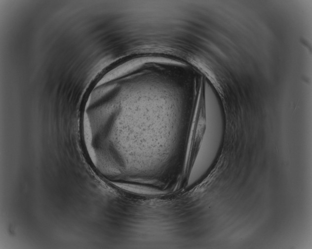 X0000092300992200710051217