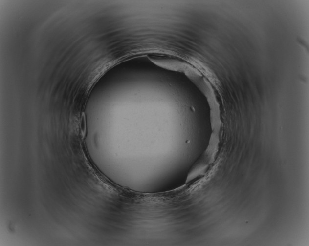 X0000092300993200710051217