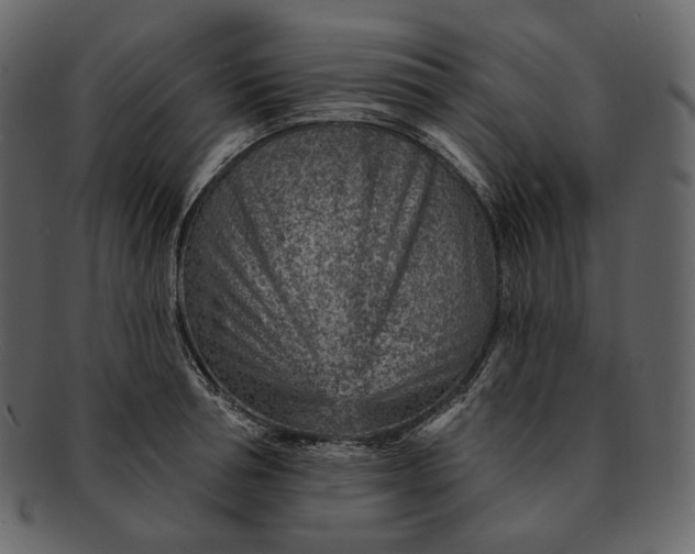 X0000092300994200710051217