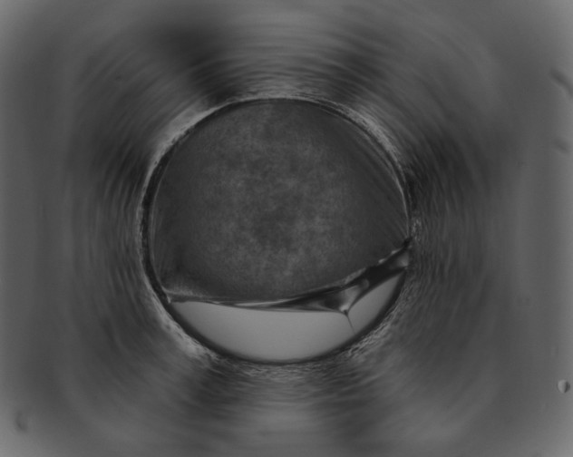 X0000092300995200710051217