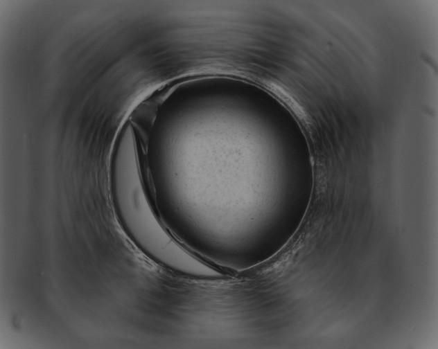 X0000092300996200710051217