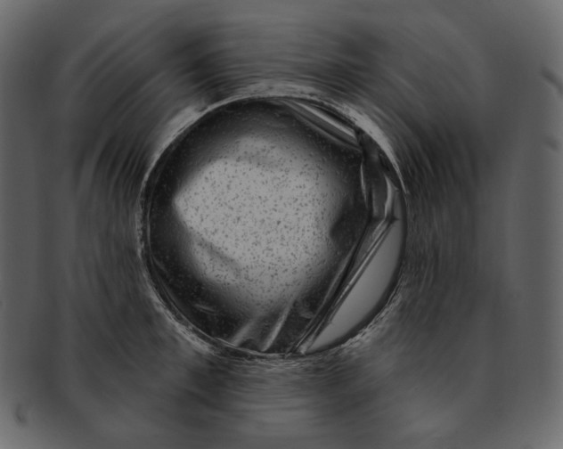 X0000092300997200710051217