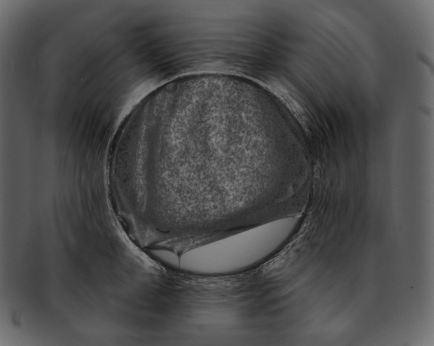 X0000092300998200710051217