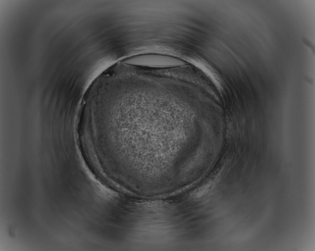 X0000092300999200710051217