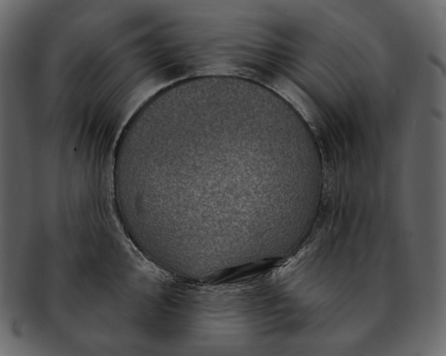 X0000092301000200710051217