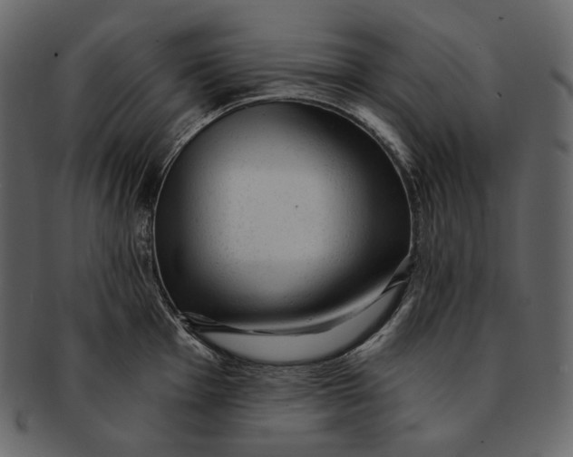 X0000092301001200710051217