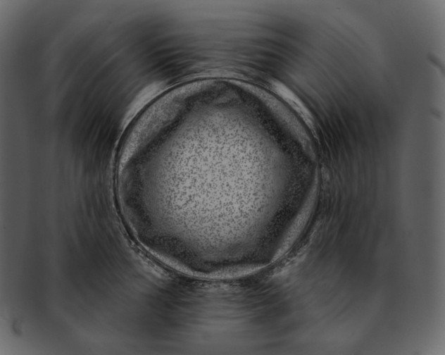 X0000092301002200710051217