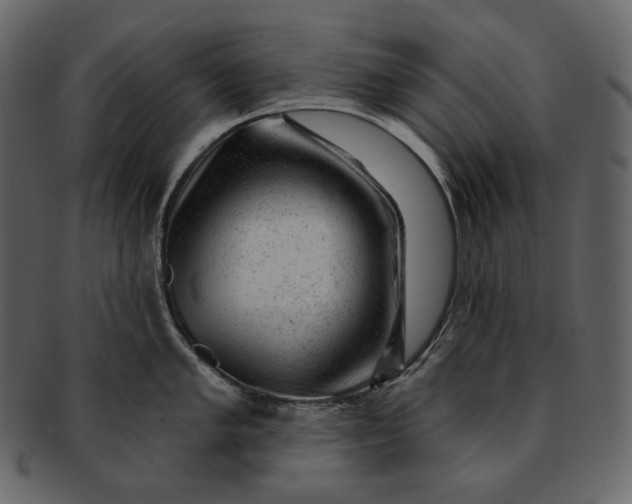 X0000092301005200710051217