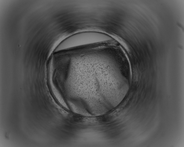 X0000092301006200710051217