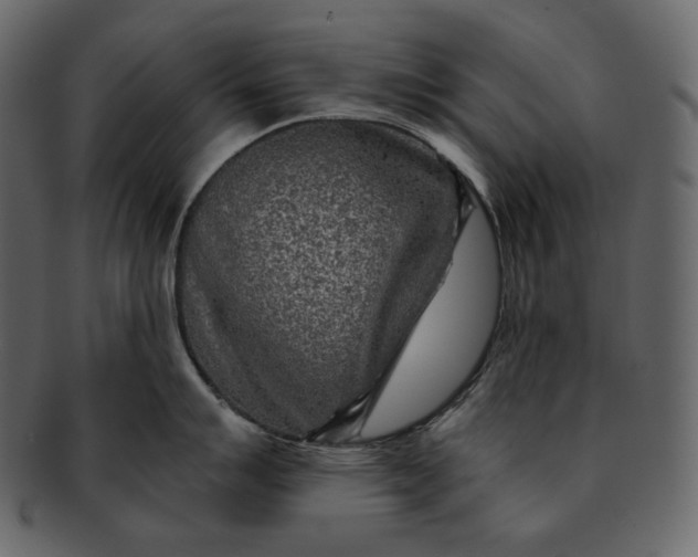 X0000092301007200710051217