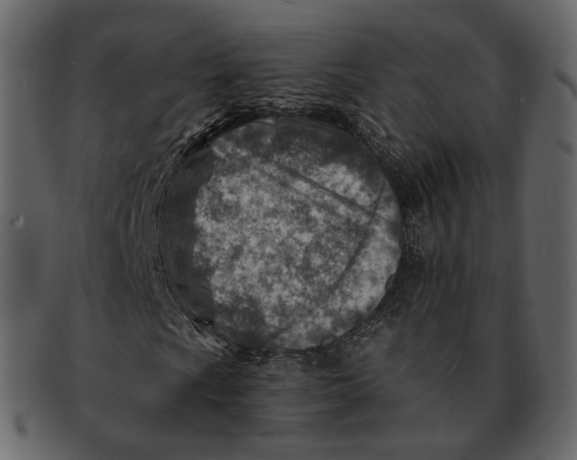 X0000092301009200710051216