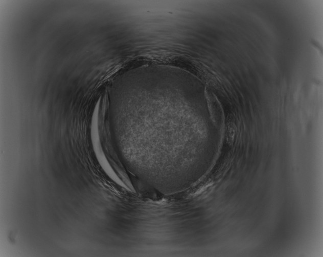 X0000092301010200710051216