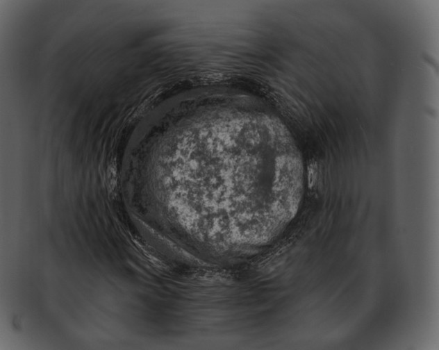 X0000092301011200710051216